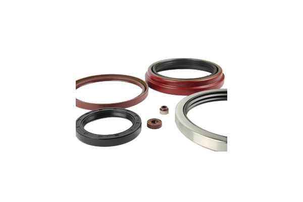 Oil seals 02