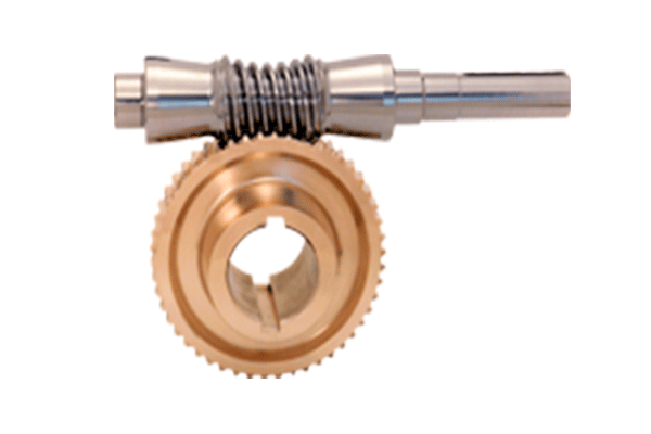 Double Enveloping Worm Gear